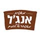 שלמה א. אנג'ל בע"מ logo