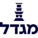 מגדל אחזקות ביטוח ופיננסים בע"מ logo